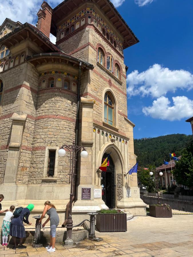 Cazare David Si Familia . Piatra Neamţ Esterno foto